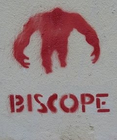 Biscope